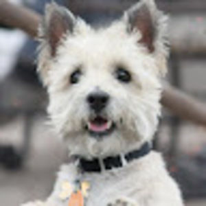 Meet your Posher, Catherine